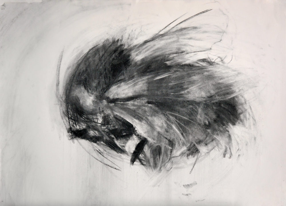 04 Dead Bee 2